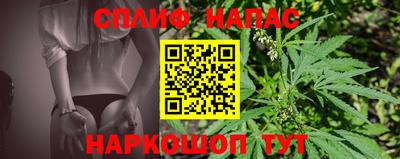 индика Кандалакша