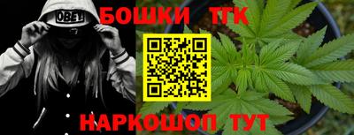 дживик Камышлов